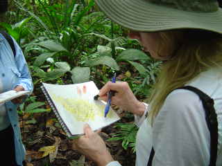 Explore & Create in Costa Rica participant sketching in the Maleku Indian rain forest
