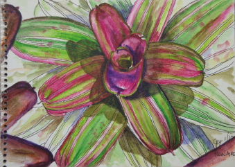 Art journal page by Jan Yatsko of Costa Rica of a bromiliad at bromiliad farm near Palmares, Costa Rica