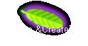Explore &CreateTour
 in Costa Rica