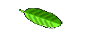 Explore &CreateTour
 in Costa Rica