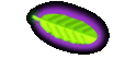 Pura Vida Costa Rica