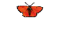 Registration Form